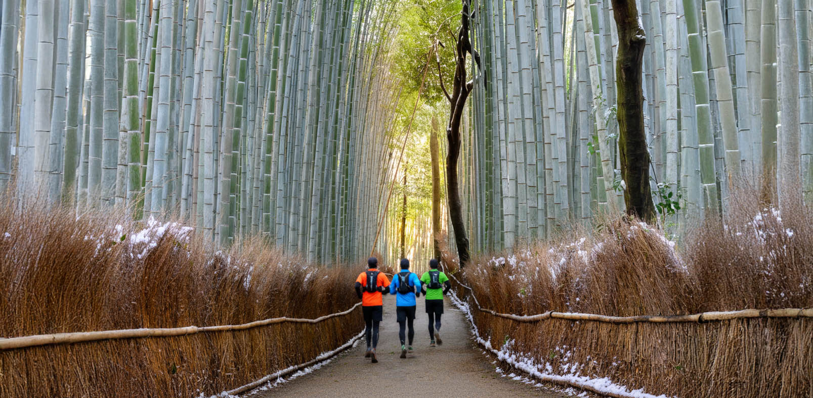 kyoto and Kumano kodo
